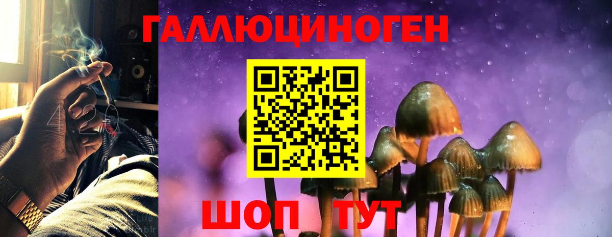 Галлюциногенные грибы мухоморы  Вход с VPN  закладки  Приморско-Ахтарск 